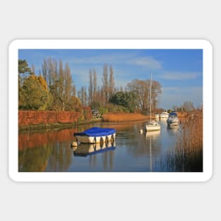 River Frome, Wareham, January 2022 Sticker